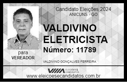 Candidato VALDIVINO ELETRICISTA 2024 - ANICUNS - Eleições