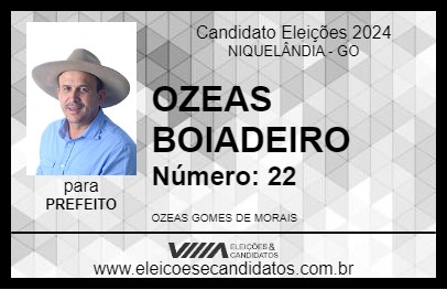 Candidato OZEAS BOIADEIRO 2024 - NIQUELÂNDIA - Eleições