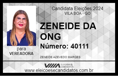 Candidato ZENEIDE DA ONG 2024 - VILA BOA - Eleições