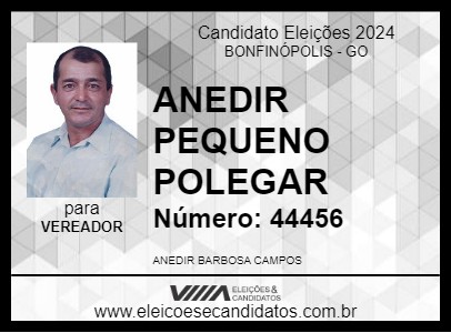 Candidato ANEDIR PEQUENO POLEGAR 2024 - BONFINÓPOLIS - Eleições