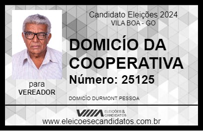 Candidato DOMICÍO DA COOPERATIVA 2024 - VILA BOA - Eleições