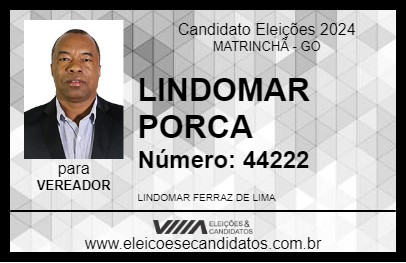 Candidato LINDOMAR PORCA 2024 - MATRINCHÃ - Eleições