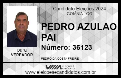 Candidato PEDRO FREIRE 2024 - GOIÂNIA - Eleições