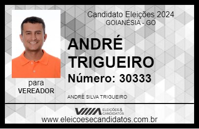 Candidato ANDRÉ TRIGUEIRO 2024 - GOIANÉSIA - Eleições