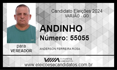 Candidato ANDINHO 2024 - VARJÃO - Eleições