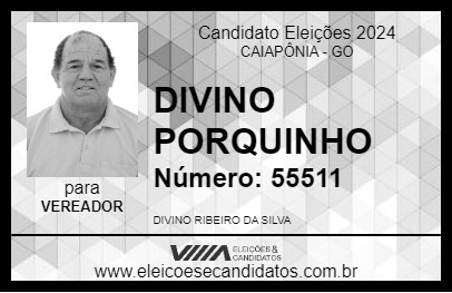 Candidato DIVINO PORQUINHO 2024 - CAIAPÔNIA - Eleições