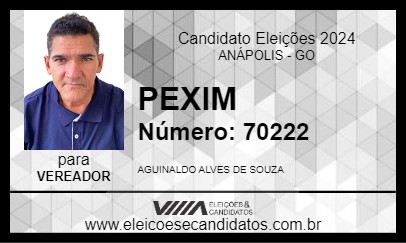 Candidato PEXIM 2024 - ANÁPOLIS - Eleições