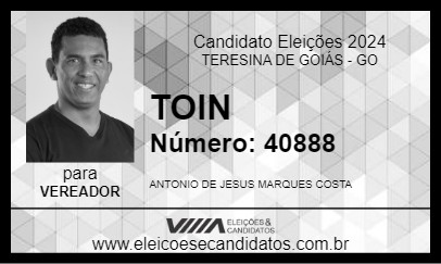 Candidato TOIN 2024 - TERESINA DE GOIÁS - Eleições