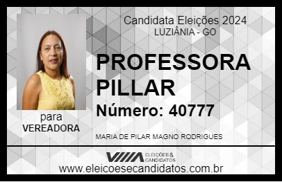 Candidato PROFESSORA PILLAR 2024 - LUZIÂNIA - Eleições