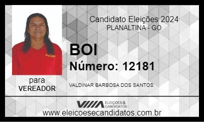 Candidato BOI 2024 - PLANALTINA - Eleições