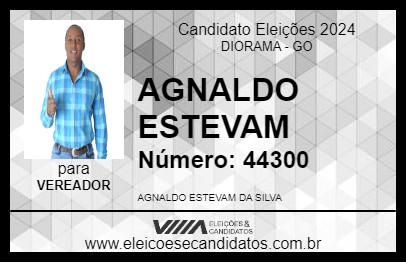 Candidato AGNALDO ESTEVAM 2024 - DIORAMA - Eleições