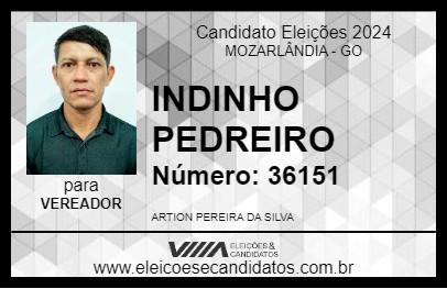 Candidato INDINHO PEDREIRO 2024 - MOZARLÂNDIA - Eleições