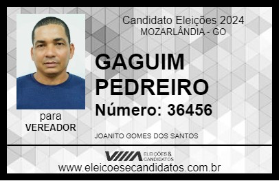 Candidato GAGUIM PEDREIRO 2024 - MOZARLÂNDIA - Eleições