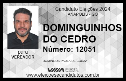 Candidato DOMINGUINHOS DO CEDRO 2024 - ANÁPOLIS - Eleições