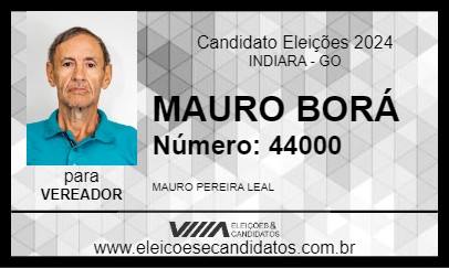 Candidato MAURO BORÁ 2024 - INDIARA - Eleições