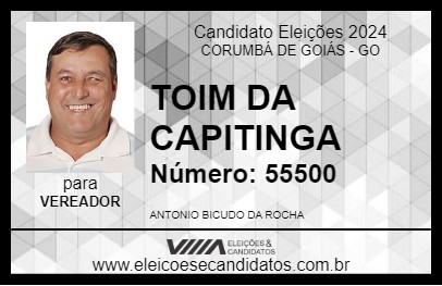 Candidato TOIM DA CAPITINGA 2024 - CORUMBÁ DE GOIÁS - Eleições