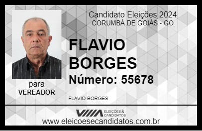 Candidato FLAVIO BORGES 2024 - CORUMBÁ DE GOIÁS - Eleições