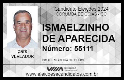 Candidato ISMAELZINHO DE APARECIDA 2024 - CORUMBÁ DE GOIÁS - Eleições