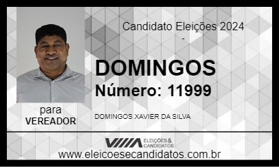 Candidato DOMINGOS 2024 - ALTO PARAÍSO DE GOIÁS - Eleições