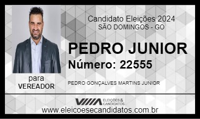 Candidato PEDRO JUNIOR 2024 - SÃO DOMINGOS - Eleições