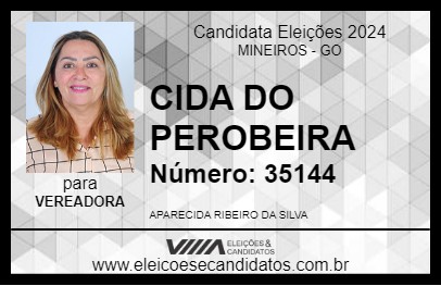 Candidato CIDA DO PEROBEIRA 2024 - MINEIROS - Eleições