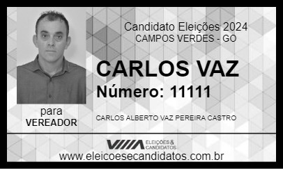 Candidato CARLOS VAZ 2024 - CAMPOS VERDES - Eleições