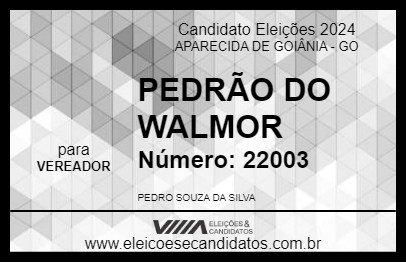 Candidato PEDRÃO DO WALMOR 2024 - APARECIDA DE GOIÂNIA - Eleições