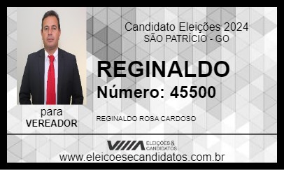 Candidato REGINALDO 2024 - SÃO PATRÍCIO - Eleições