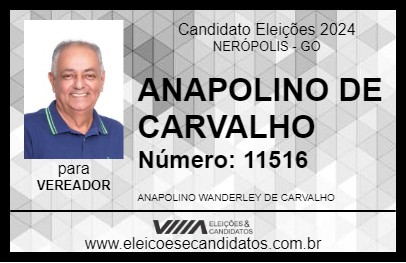 Candidato ANAPOLINO DE CARVALHO 2024 - NERÓPOLIS - Eleições