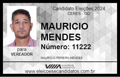 Candidato MAURICIO MENDES 2024 - CERES - Eleições