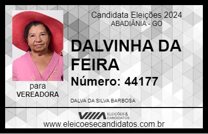 Candidato DALVINHA DA FEIRA 2024 - ABADIÂNIA - Eleições