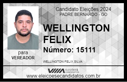 Candidato WELLINGTON FELIX 2024 - PADRE BERNARDO - Eleições