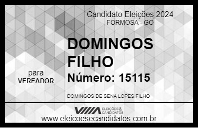 Candidato DOMINGOS FILHO 2024 - FORMOSA - Eleições