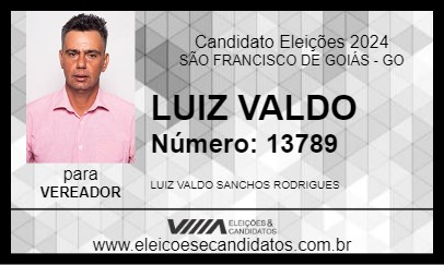 Candidato LUIZ VALDO 2024 - SÃO FRANCISCO DE GOIÁS - Eleições