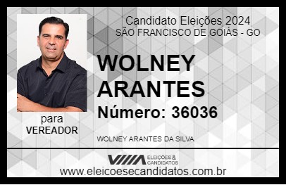 Candidato WOLNEY DO GERALDINHO 2024 - SÃO FRANCISCO DE GOIÁS - Eleições