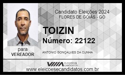 Candidato TOIZIN 2024 - FLORES DE GOIÁS - Eleições