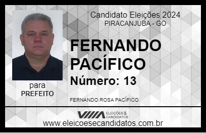 Candidato FERNANDO PACÍFICO 2024 - PIRACANJUBA - Eleições