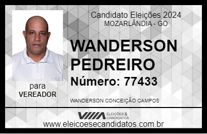 Candidato WANDERSON PEDREIRO 2024 - MOZARLÂNDIA - Eleições