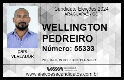 Candidato WELLINGTON PEDREIRO 2024 - ARAGUAPAZ - Eleições