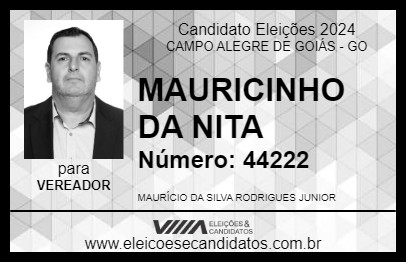 Candidato MAURICINHO DA NITA 2024 - CAMPO ALEGRE DE GOIÁS - Eleições