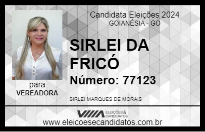 Candidato SIRLEI DA FRICÓ 2024 - GOIANÉSIA - Eleições