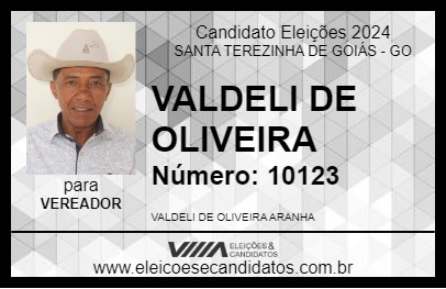 Candidato VALDELI DE OLIVEIRA 2024 - SANTA TEREZINHA DE GOIÁS - Eleições