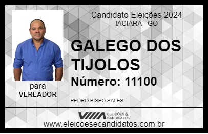 Candidato GALEGO DOS TIJOLOS 2024 - IACIARA - Eleições