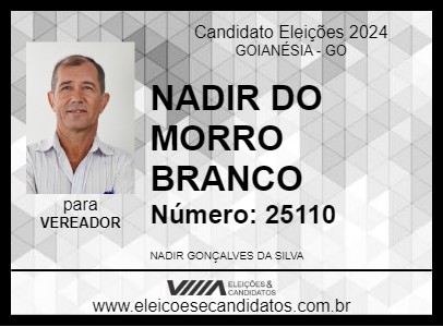 Candidato NADIR DO MORRO BRANCO 2024 - GOIANÉSIA - Eleições