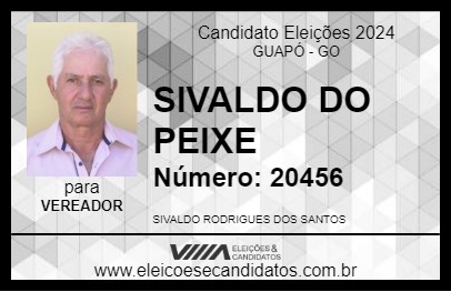 Candidato SIVALDO DO PEIXE 2024 - GUAPÓ - Eleições