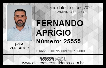 Candidato FERNANDO APRÍGIO 2024 - CAMPINAÇU - Eleições