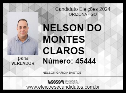 Candidato NELSON DO MONTES CLAROS 2024 - ORIZONA - Eleições