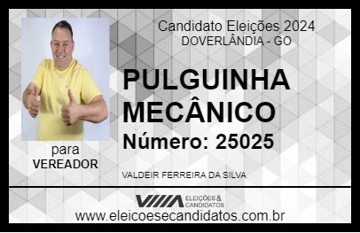 Candidato PULGUINHA MECÂNICO 2024 - DOVERLÂNDIA - Eleições