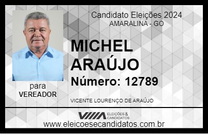 Candidato MICHEL ARAÚJO 2024 - AMARALINA - Eleições