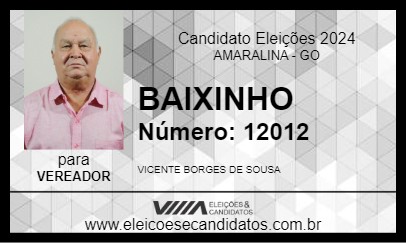 Candidato BAIXINHO 2024 - AMARALINA - Eleições